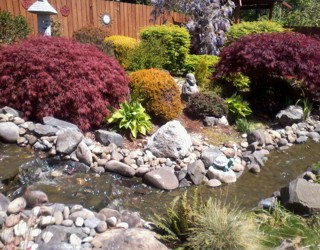 Waterscaping with brook and variety of foliage