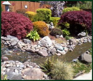 Landscaping with water feature
