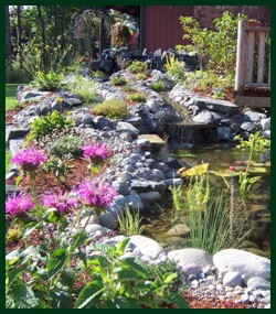 Koi pond with River Rock Landscaping